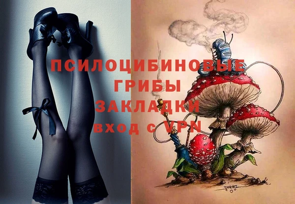 apvp Горно-Алтайск