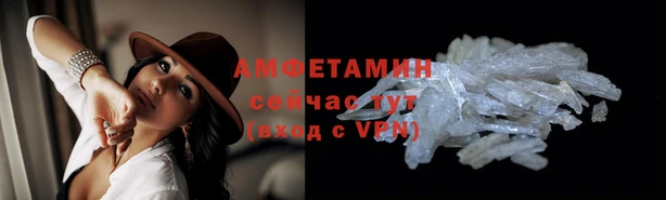 apvp Горняк