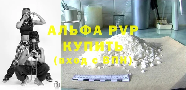 apvp Горняк