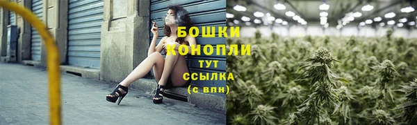 apvp Горно-Алтайск