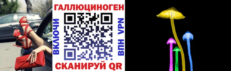 Купить закладки  Нязепетровск  Псилоцибиновые грибы Cubensis 