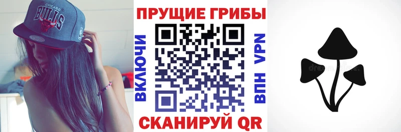 Галлюциногенные грибы MAGIC MUSHROOMS Нязепетровск